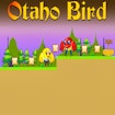 Otaho Bird